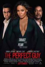 Watch The Perfect Guy Solarmovie