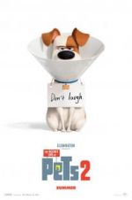 Watch The Secret Life of Pets 2 Solarmovie