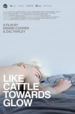 Watch Like Cattle Towards Glow Solarmovie