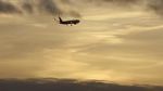 Watch The Man Who Fell from the Sky Solarmovie