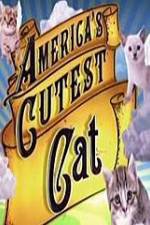 Watch America's Cutest Cat Solarmovie