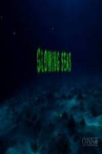 Watch Glowing Seas - Diving at Hatshepsut's Harbour Solarmovie