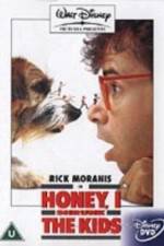 Watch Honey, I Shrunk the Kids Solarmovie