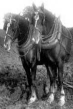 Watch All the King\'s Horses Solarmovie