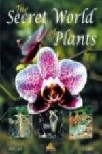 Watch The Secret World of Plants Solarmovie