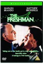 Watch The Freshman Solarmovie