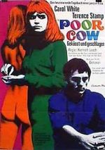Watch Poor Cow Solarmovie