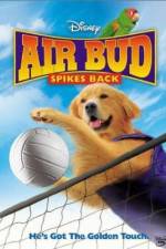Watch Air Bud Spikes Back Solarmovie