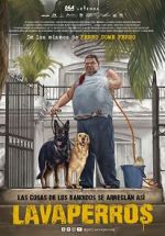 Watch Dogwashers Solarmovie