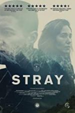 Watch Stray Solarmovie