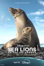 Watch Sea Lions of the Galapagos (TV Special 2025) Solarmovie
