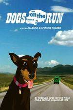 Watch Dogs on the Run Solarmovie