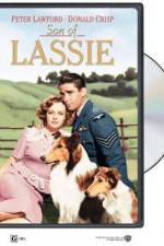 Watch Son of Lassie Solarmovie