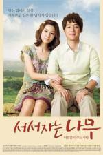Watch Sleeping Tree Solarmovie