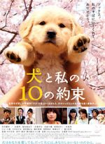 Watch 10 Promises to My Dog Solarmovie