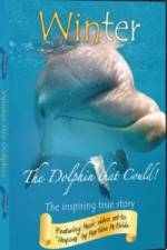 Watch Winter The Dolphin That Could Solarmovie