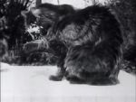 Watch Le djeuner du chat Solarmovie