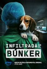 Watch Infiltrada en el bnker Solarmovie