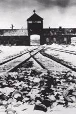 Watch AUSCHWITZ: CORRUPTION Solarmovie
