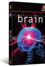 Watch The Brain Solarmovie