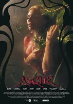 Watch Asche Solarmovie