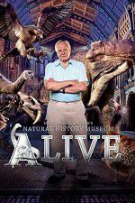 Watch David Attenborough\'s Natural History Museum Alive Solarmovie