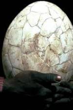 Watch Attenborough And The Giant Egg Solarmovie