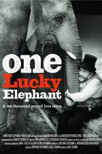Watch En lycklig elefant Solarmovie