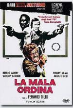 Watch The Italian Connection Solarmovie