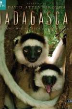 Watch Madagascar Island of Marvels Solarmovie