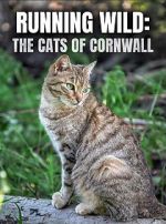 Watch Running Wild: The Cats of Cornwall (TV Special 2020) Solarmovie