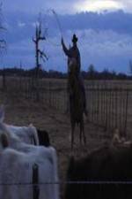 Watch Cowboy Christmas Solarmovie