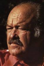 Watch The Return of Frank Cannon Solarmovie