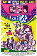Watch Scream Free! Solarmovie