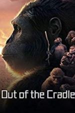 Watch Out of the Cradle Solarmovie