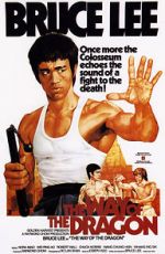 Watch The Way of the Dragon Solarmovie