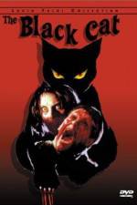 Watch Black Cat Solarmovie