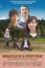 Watch Miracle in Kasama Solarmovie