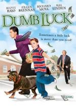 Watch Dumb Luck Solarmovie