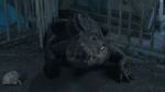 Watch Croc! Solarmovie