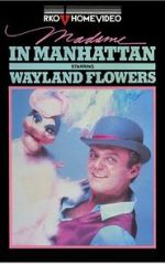 Watch Madame in Manhattan Solarmovie