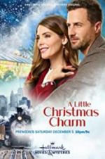 Watch A Little Christmas Charm Solarmovie