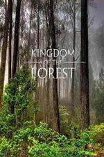 Watch National Geographic Kingdom of the Forest Solarmovie