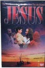 Watch The Story of Jesus According to the Gospel of Saint Luke Solarmovie
