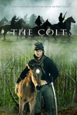 Watch The Colt Solarmovie