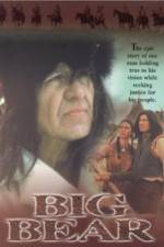 Watch Big Bear Solarmovie