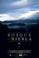 Watch The Cloud Forest Solarmovie