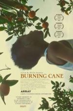 Watch Burning Cane Solarmovie
