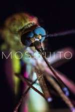 Watch Mosquito Solarmovie