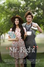 Watch Mr. Right Solarmovie